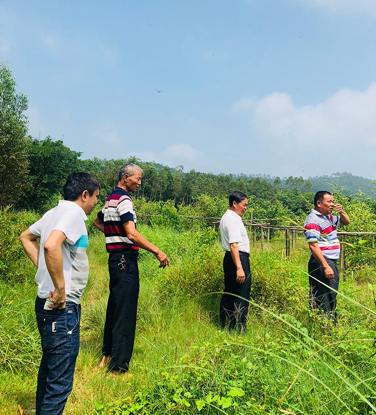 J9集团|国际站官网