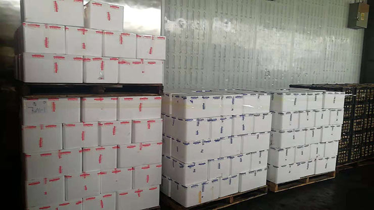 J9集团|国际站官网