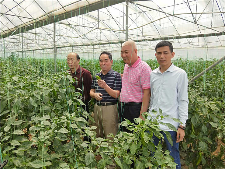 J9集团|国际站官网