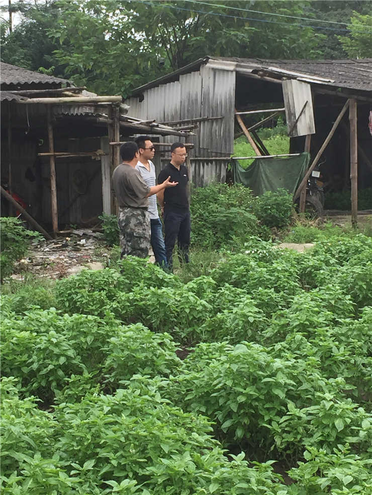 J9集团|国际站官网