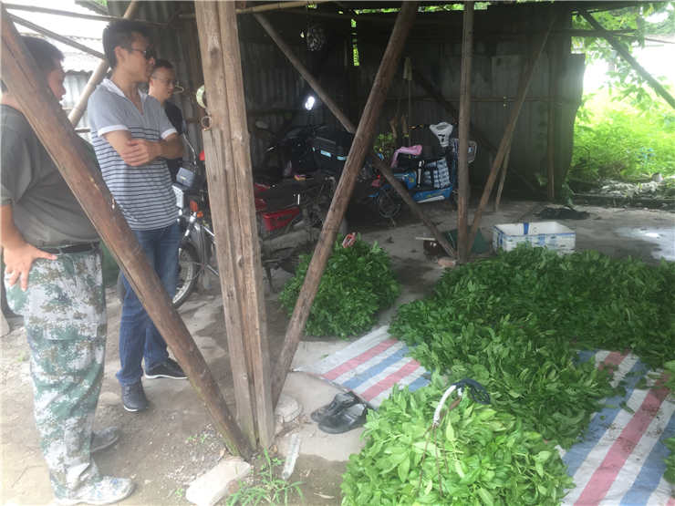 J9集团|国际站官网