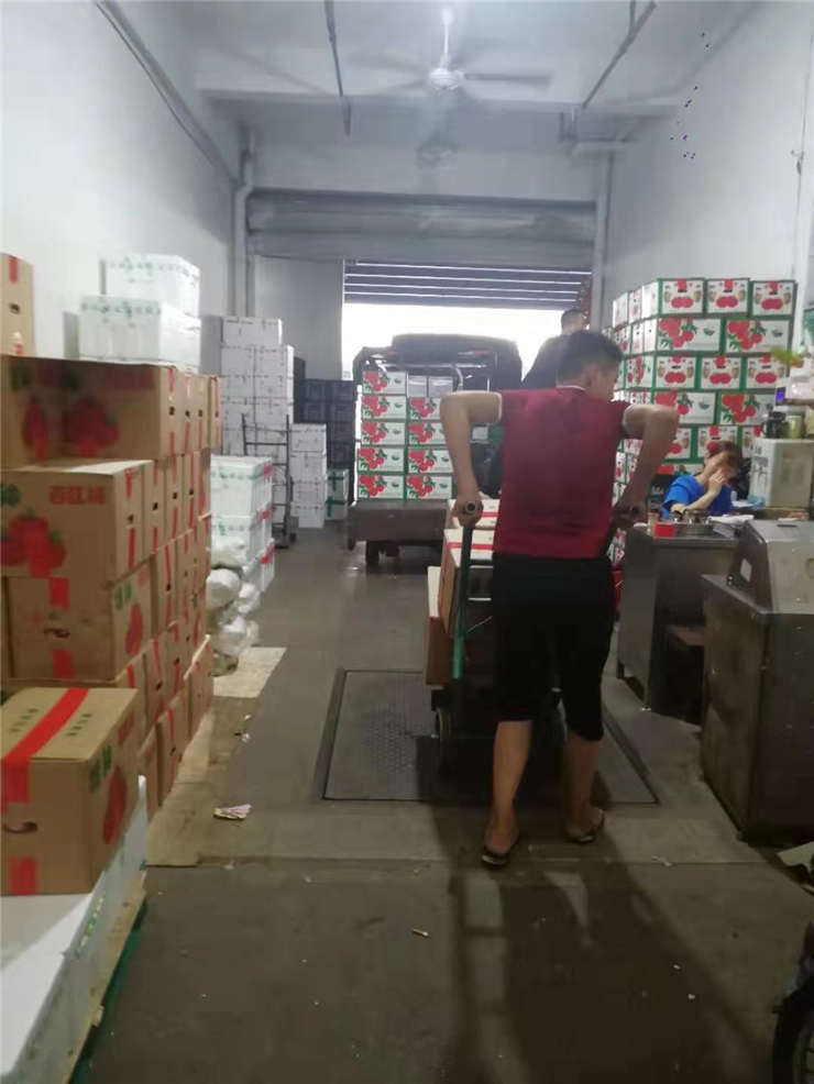 J9集团|国际站官网