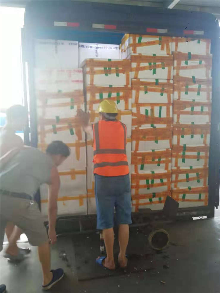 J9集团|国际站官网