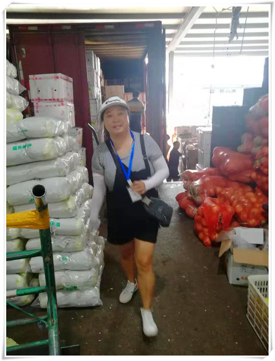 J9集团|国际站官网