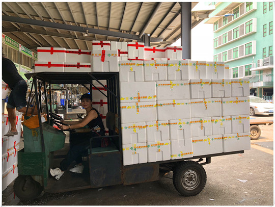 J9集团|国际站官网