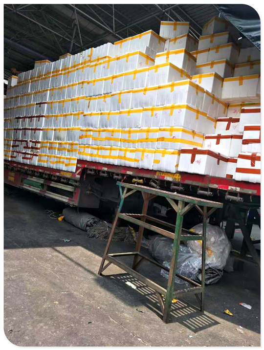 J9集团|国际站官网