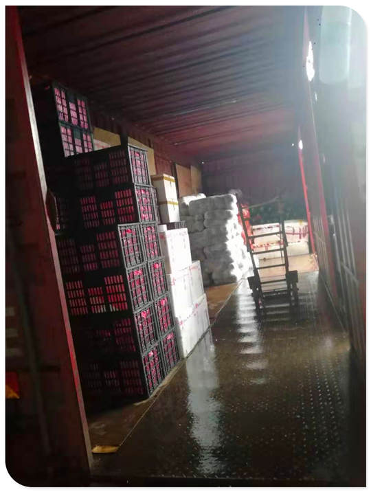 J9集团|国际站官网