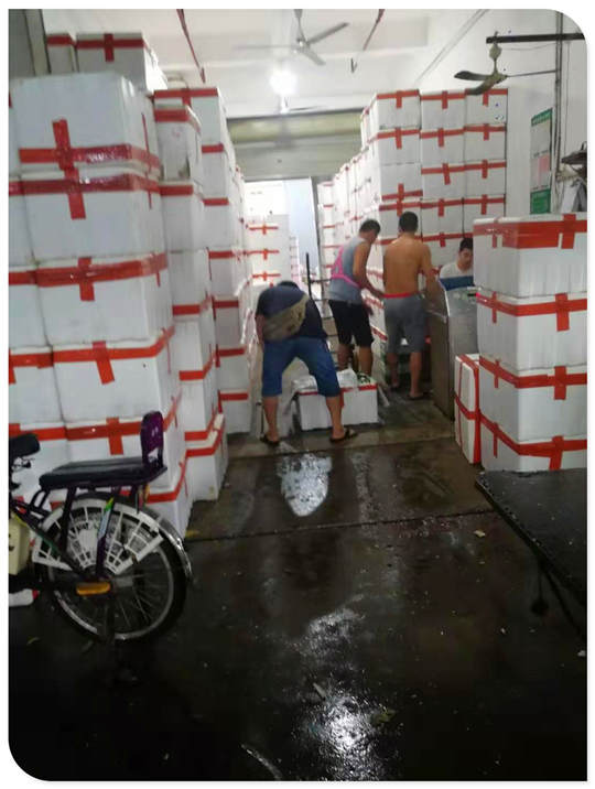 J9集团|国际站官网