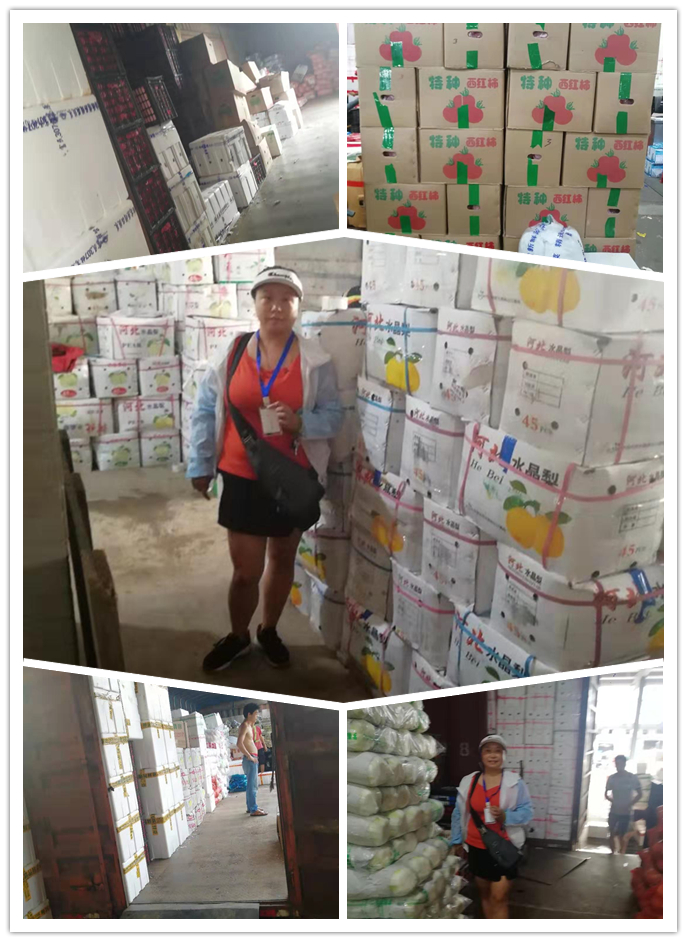 J9集团|国际站官网