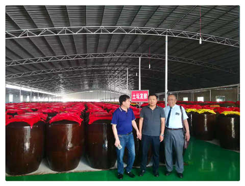 J9集团|国际站官网