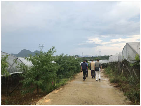 J9集团|国际站官网