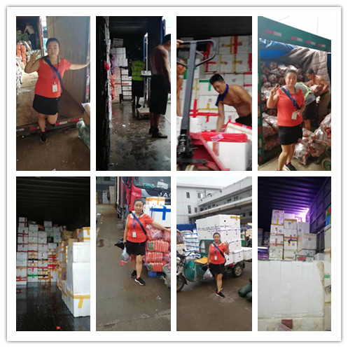 J9集团|国际站官网