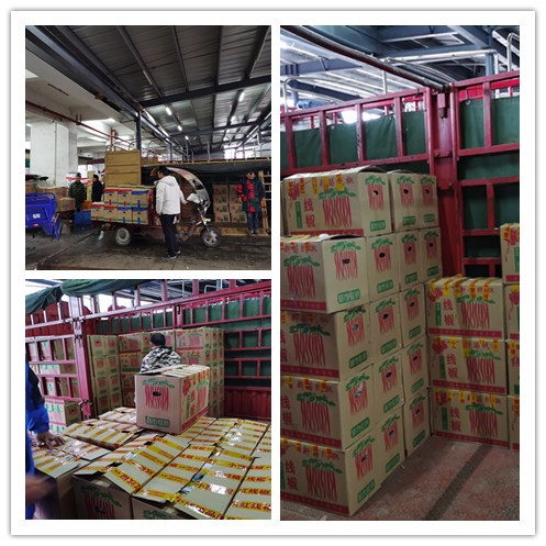 J9集团|国际站官网