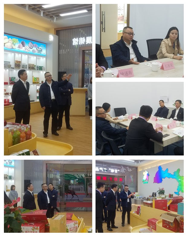 J9集团|国际站官网