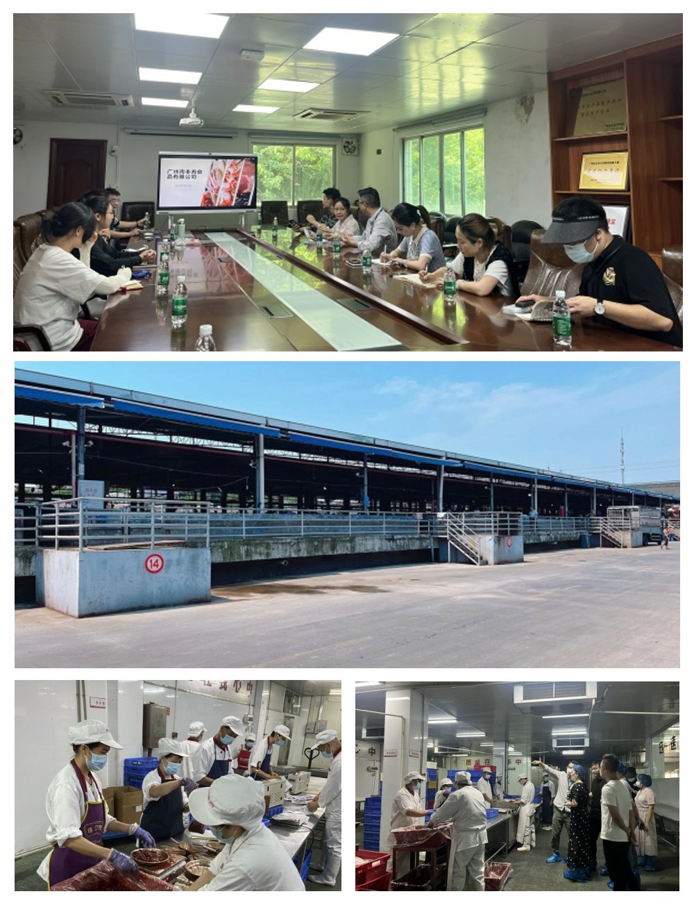 J9集团|国际站官网